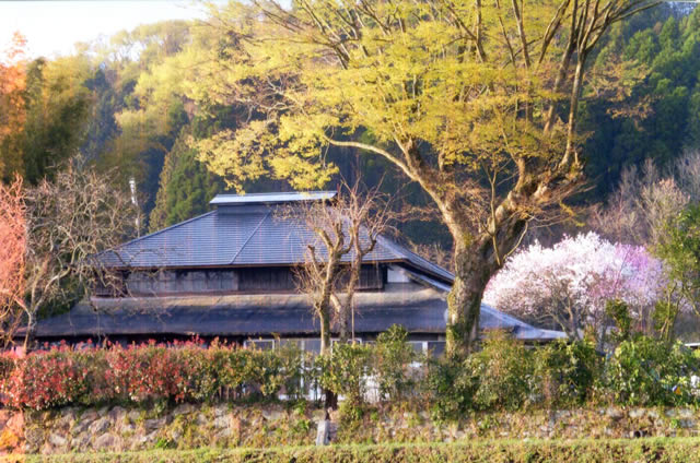 山さくら　外観の風景