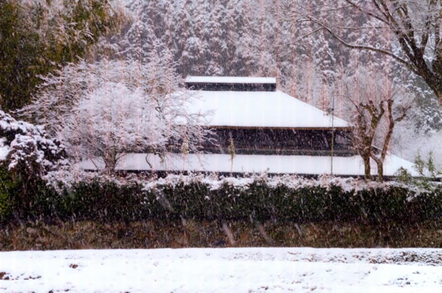 山さくら　外観の風景