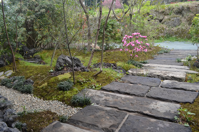 山さくら　外観の風景